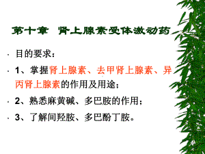 肾上腺素受体激动药new课件.ppt