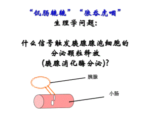 细胞间的信号传递课件.ppt