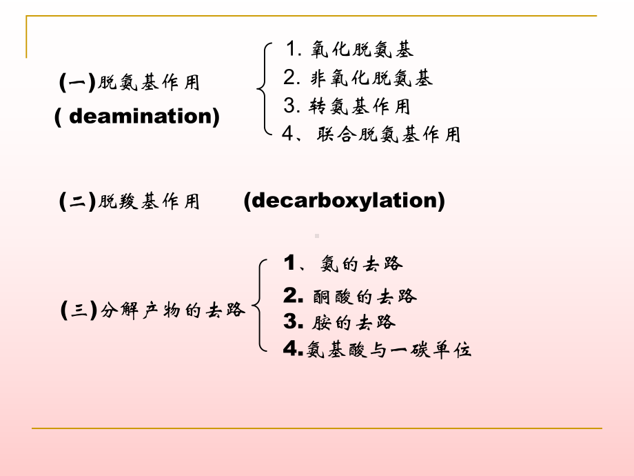 含氮化合物代谢课件.ppt_第2页