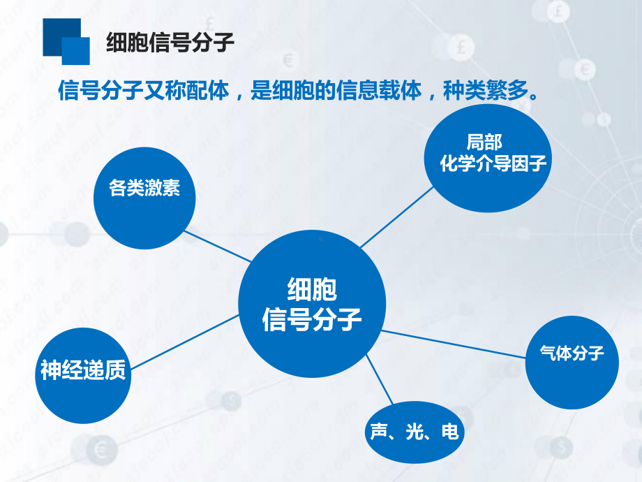 细胞信号分子与受体课件.ppt_第2页