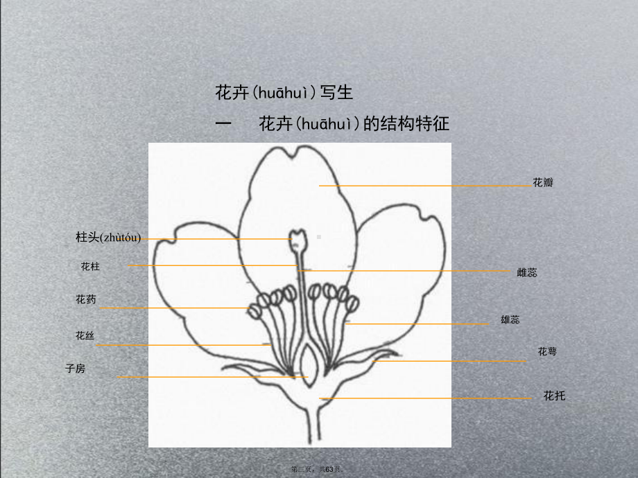 装饰图案的素材课件.ppt_第2页