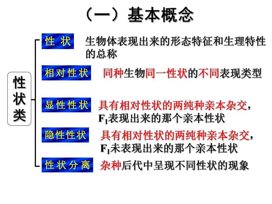 基因的分离定律(一轮复习)复习课程课件.ppt_第2页