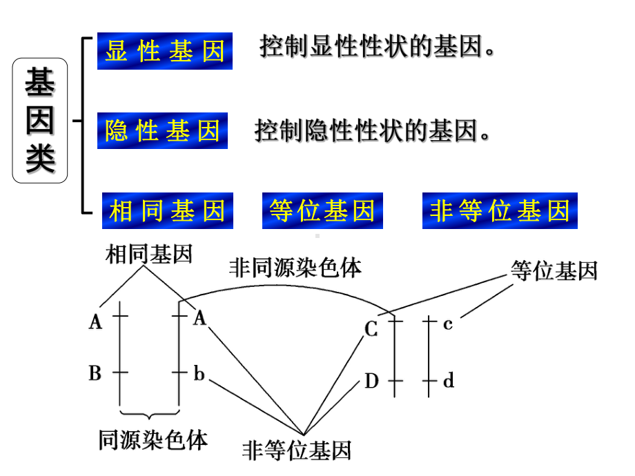 基因的分离定律(一轮复习)复习课程课件.ppt_第3页