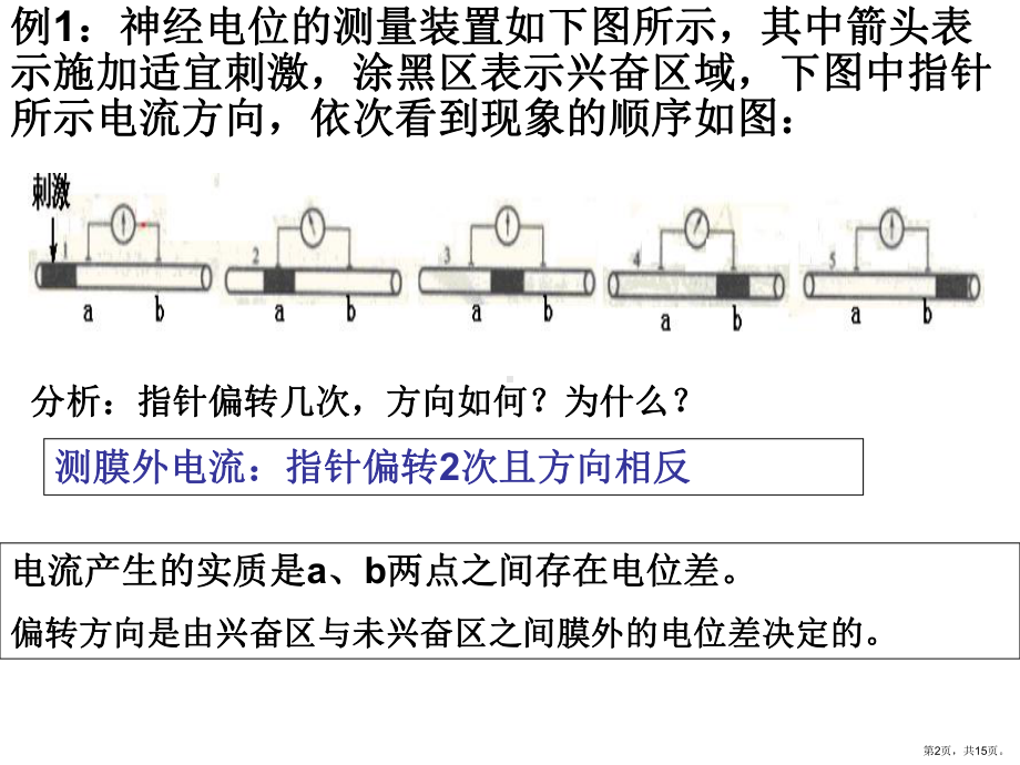 膜电位变化及其测量课件.ppt_第2页