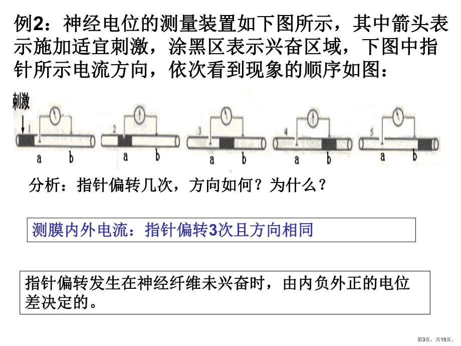 膜电位变化及其测量课件.ppt_第3页