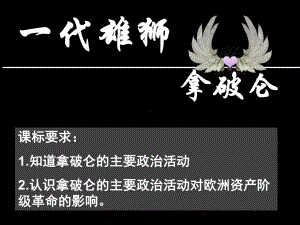 荒野雄狮拿破仑课件.ppt