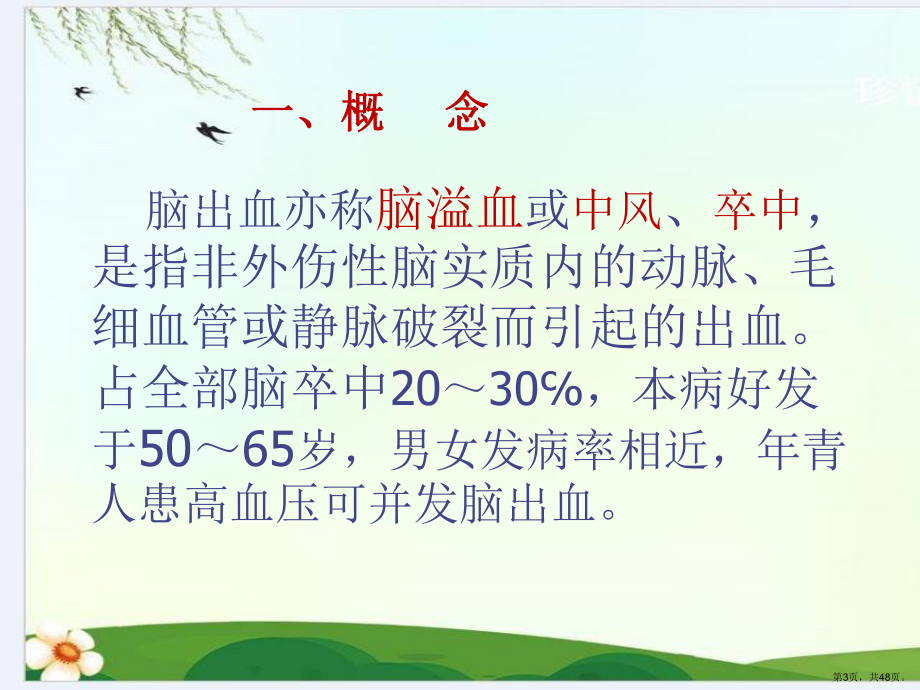 脑出血病人的护理精选课件.ppt_第3页