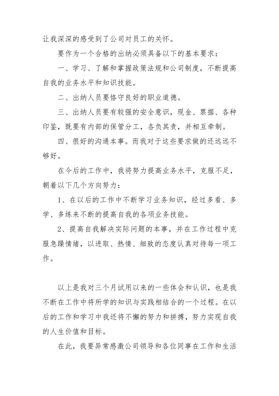 出纳试用期工作个人总结.doc_第3页