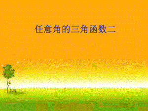 5.2.1任意角的三角函数2(共13张PPT) 课件—山东省teng州市第一中学人教版高中数学新教材必修第一册.ppt