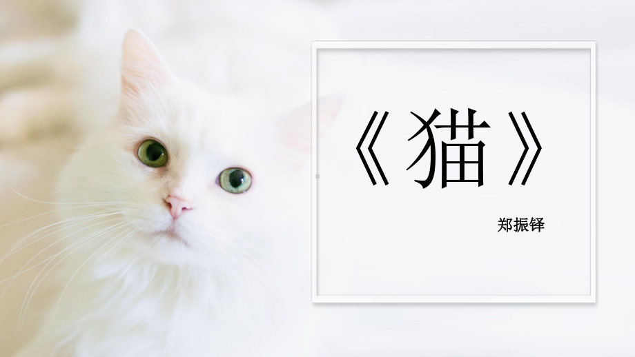 部编版七年级语文上册《猫》课件（厦门公开课）.pptx_第1页