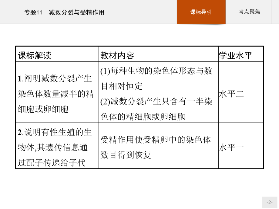 2023年高中生物学业水平考试复习 专题11　减数分裂与受精作用.pptx_第2页