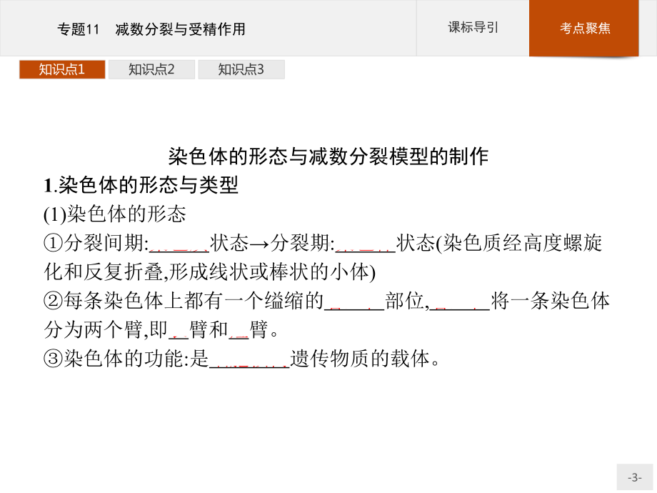 2023年高中生物学业水平考试复习 专题11　减数分裂与受精作用.pptx_第3页