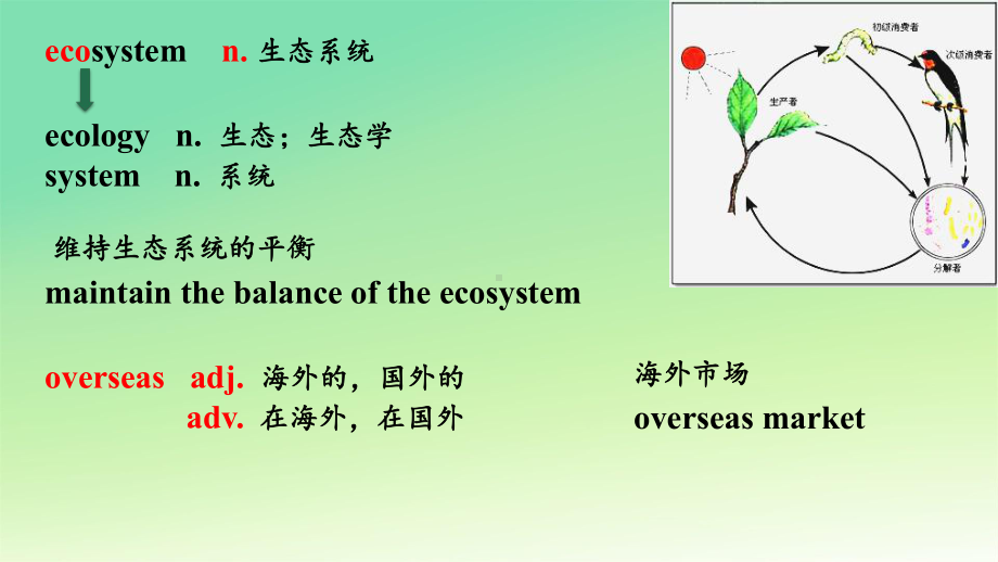 Unit 1 Nature in the nature 词汇讲解ppt课件-（2020版）新牛津译林版高中英语必修第三册.pptx_第3页