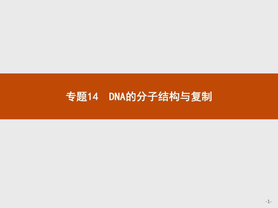 2023年高中生物学业水平考试复习 专题14　DNA的分子结构与复制.pptx_第1页