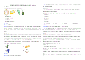 陕西省至附答案0附答案附答案年历年生物学中考真题分类汇编06 生物圈中的微生物.pptx