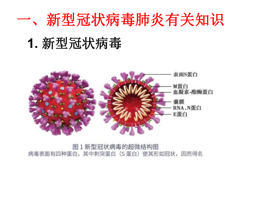 开学第一堂课—新型冠状病毒防控和心理健康教育（15张PPT）.ppt_第3页