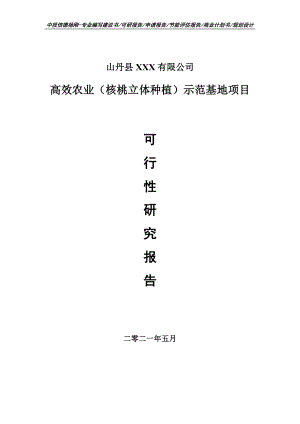 高效农业（核桃立体种植）示范基地可行性研究报告建议书申请立项doc.doc