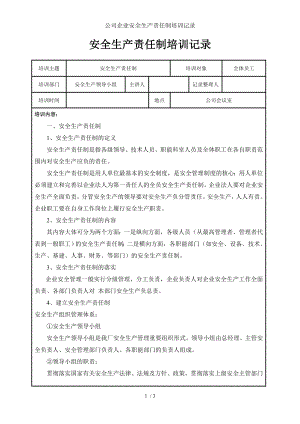 公司企业安全生产责任制培训记录参考模板范本.doc