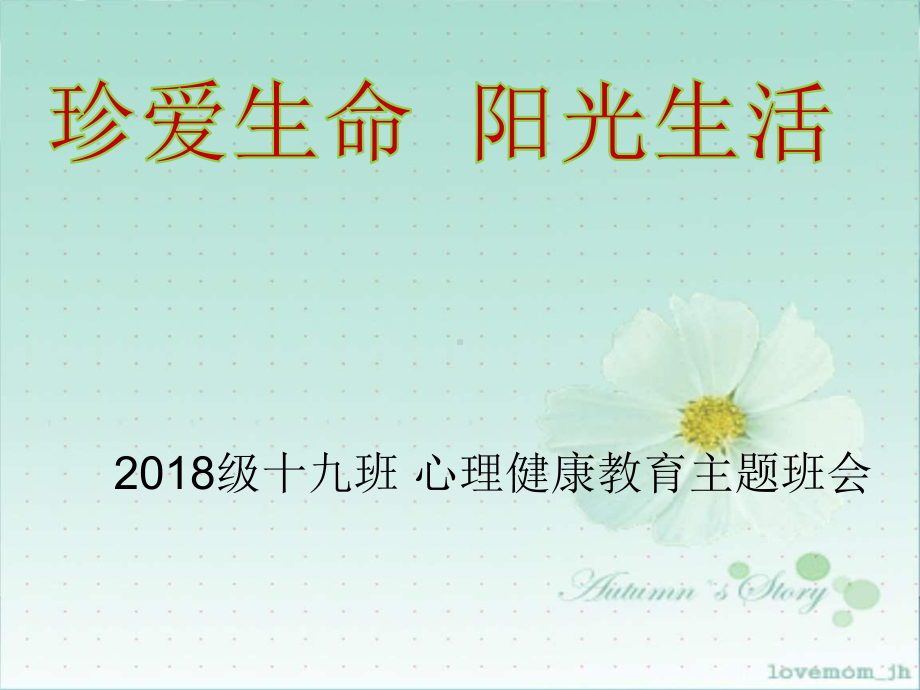 珍爱生命主题班会(共29张PPT).pptx_第1页