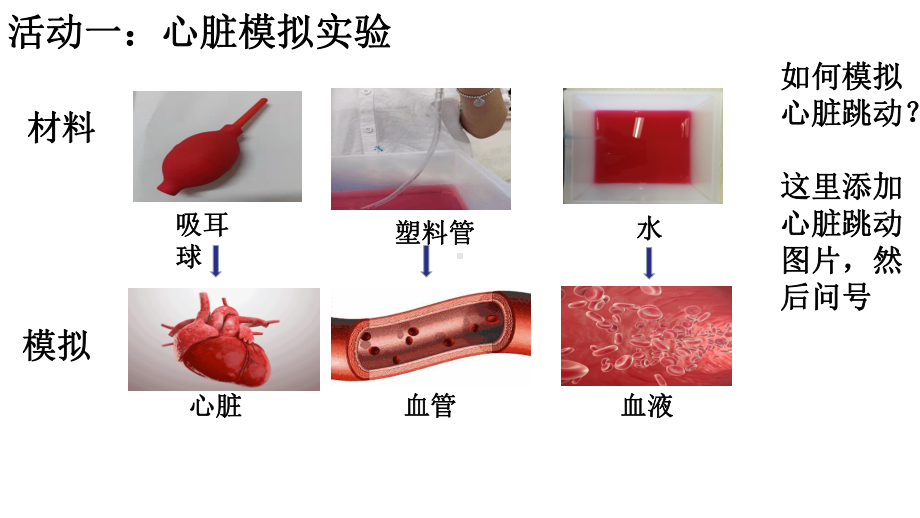 4.3心脏和血液 课件（12张PPT）-2022新教科版五年级上册《科学》.pptx_第2页