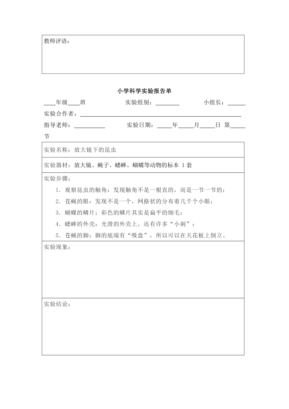 2022新教科版六年级上册《科学》实验报告单（全册26份）.docx_第3页