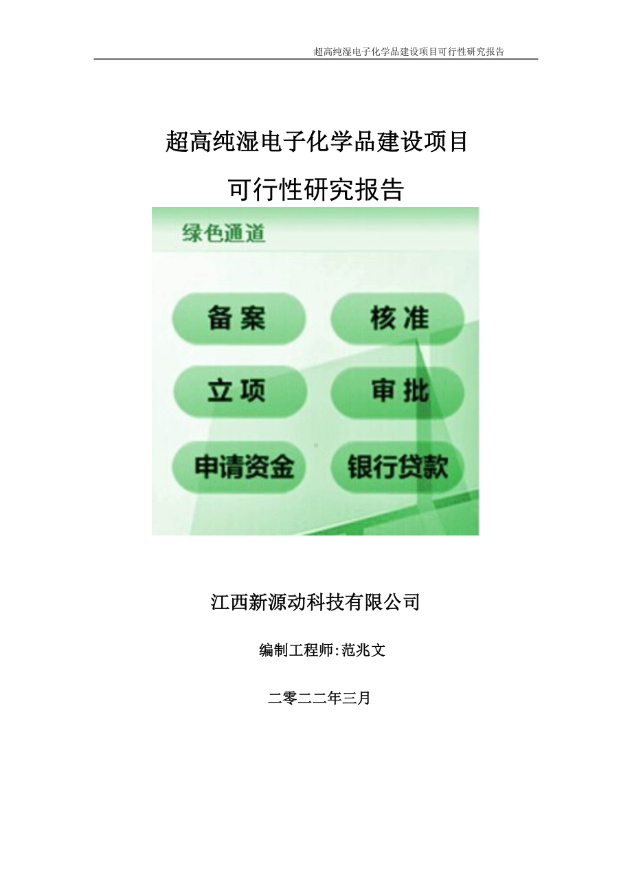 超高纯湿电子化学品项目可行性研究报告-申请建议书用可修改样本.doc_第1页