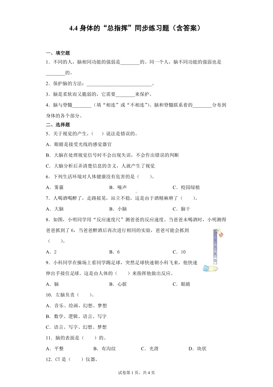 4.4身体的“总指挥”同步练习题（含答案）-2022新教科版五年级上册《科学》.docx_第1页