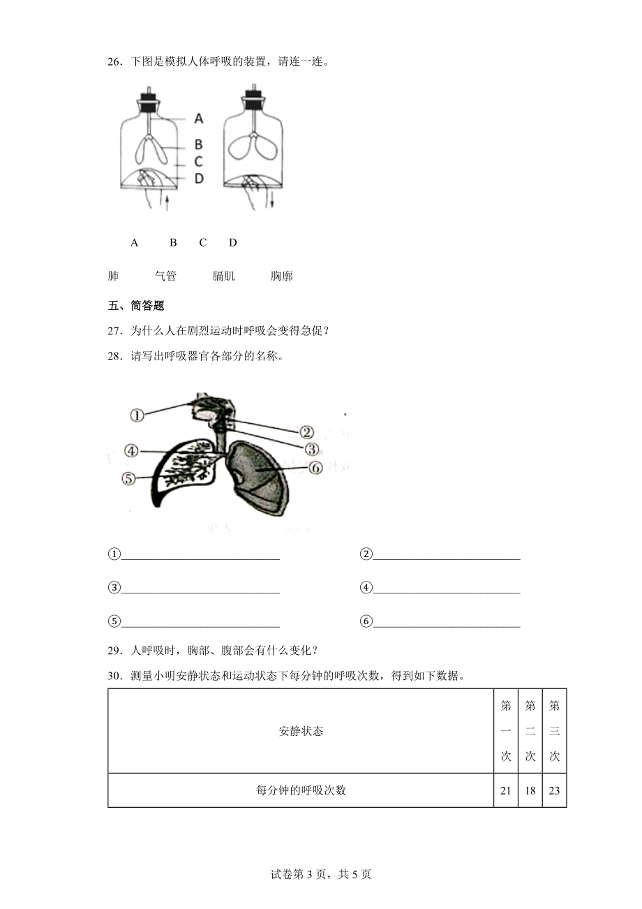 1.感受我们的呼吸同步练习（含答案）-2022教科版四年级上册《科学》.docx_第3页