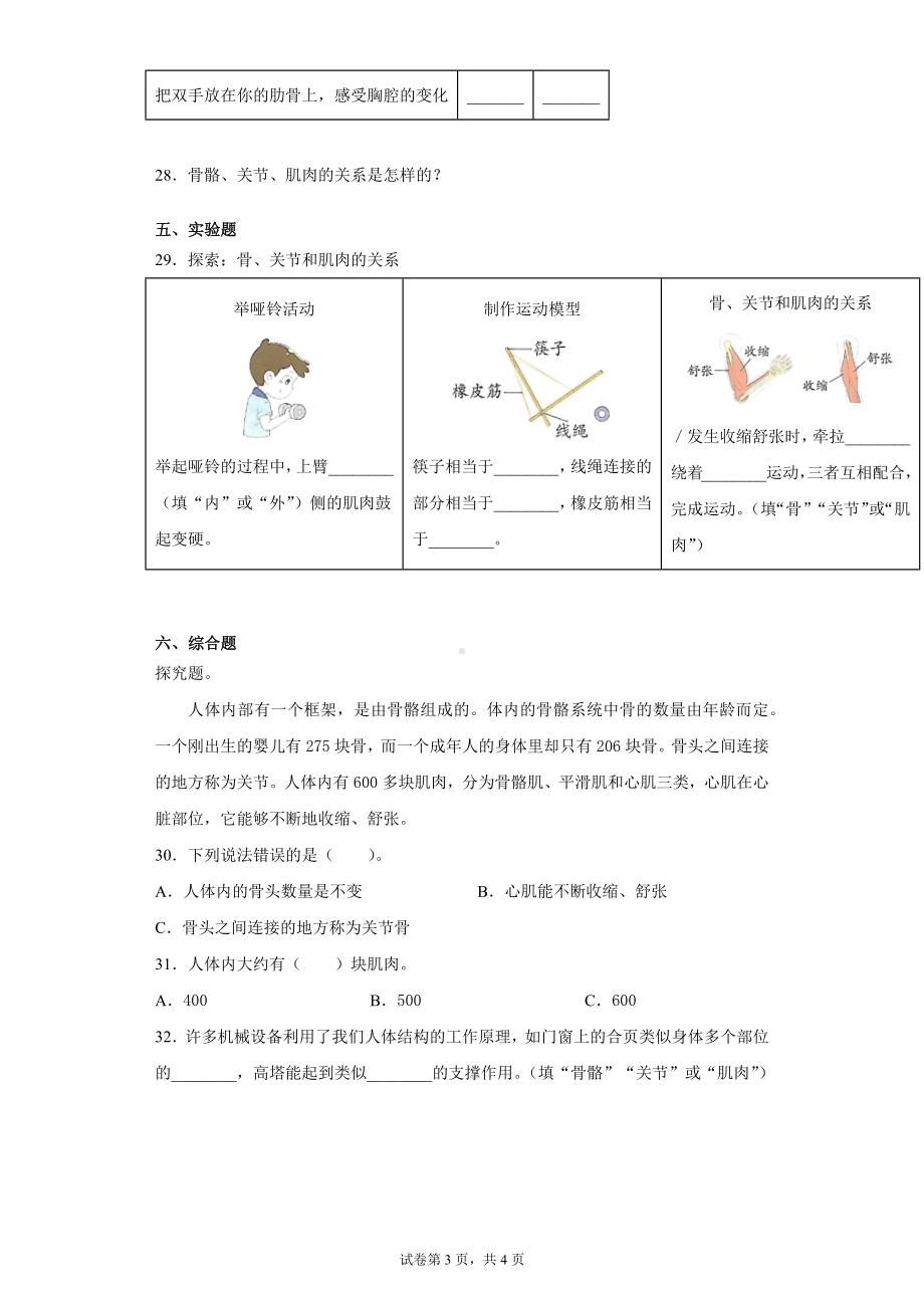 4.2身体的运动同步练习题（含答案）-2022新教科版五年级上册《科学》.docx_第3页