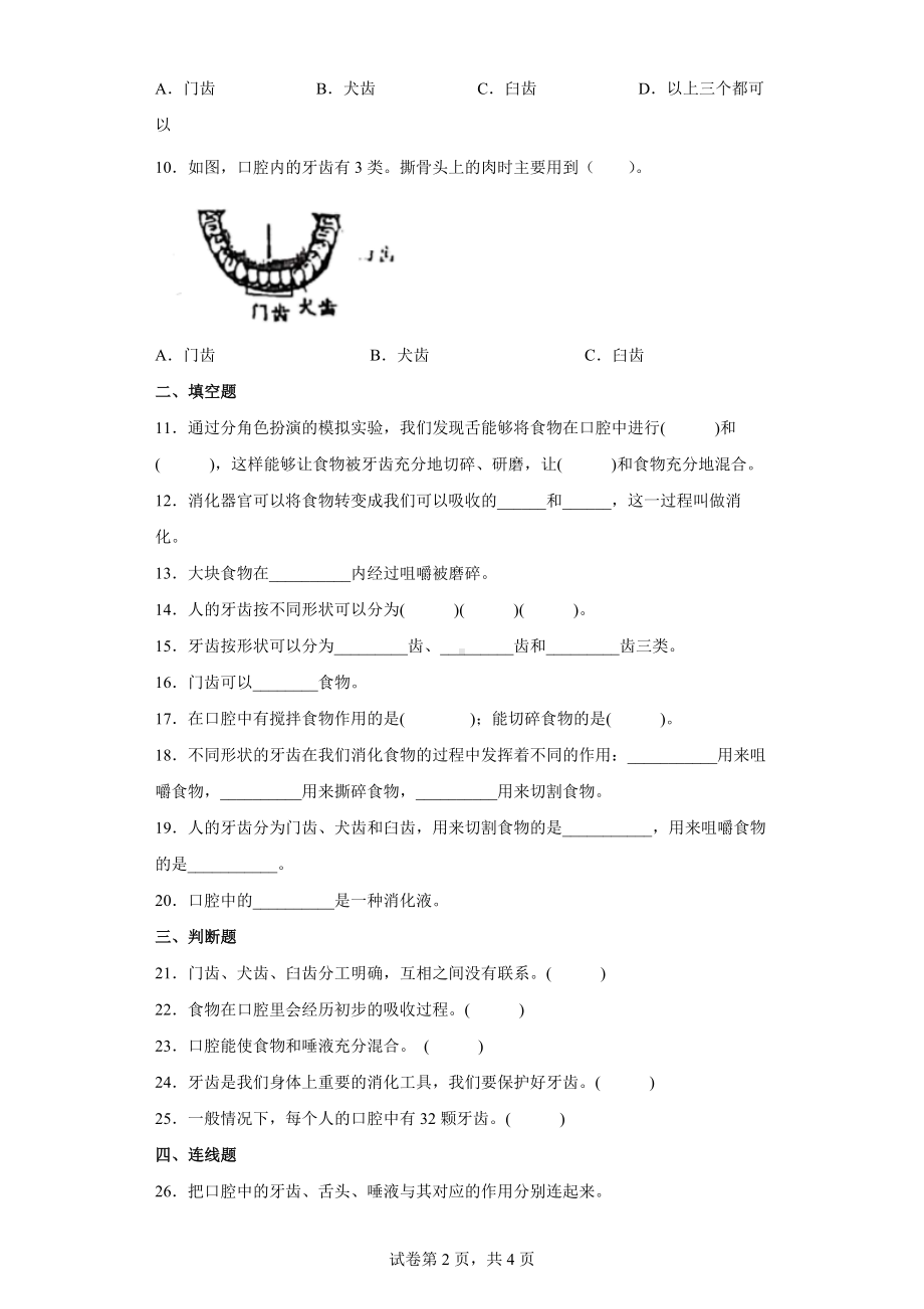 2.7 食物在口腔里的变化 达标训练（含答案）-2022教科版四年级上册《科学》.docx_第2页