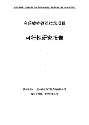 高碳镀锌钢丝拉丝项目可行性研究报告申请备案.doc