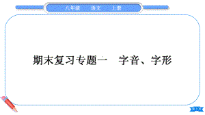 2023（新部编版）语文八年级上册期末复习专题一　字音、字形.ppt