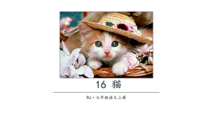 2023（新部编版）语文七年级上册同步课件 16 猫.ppt