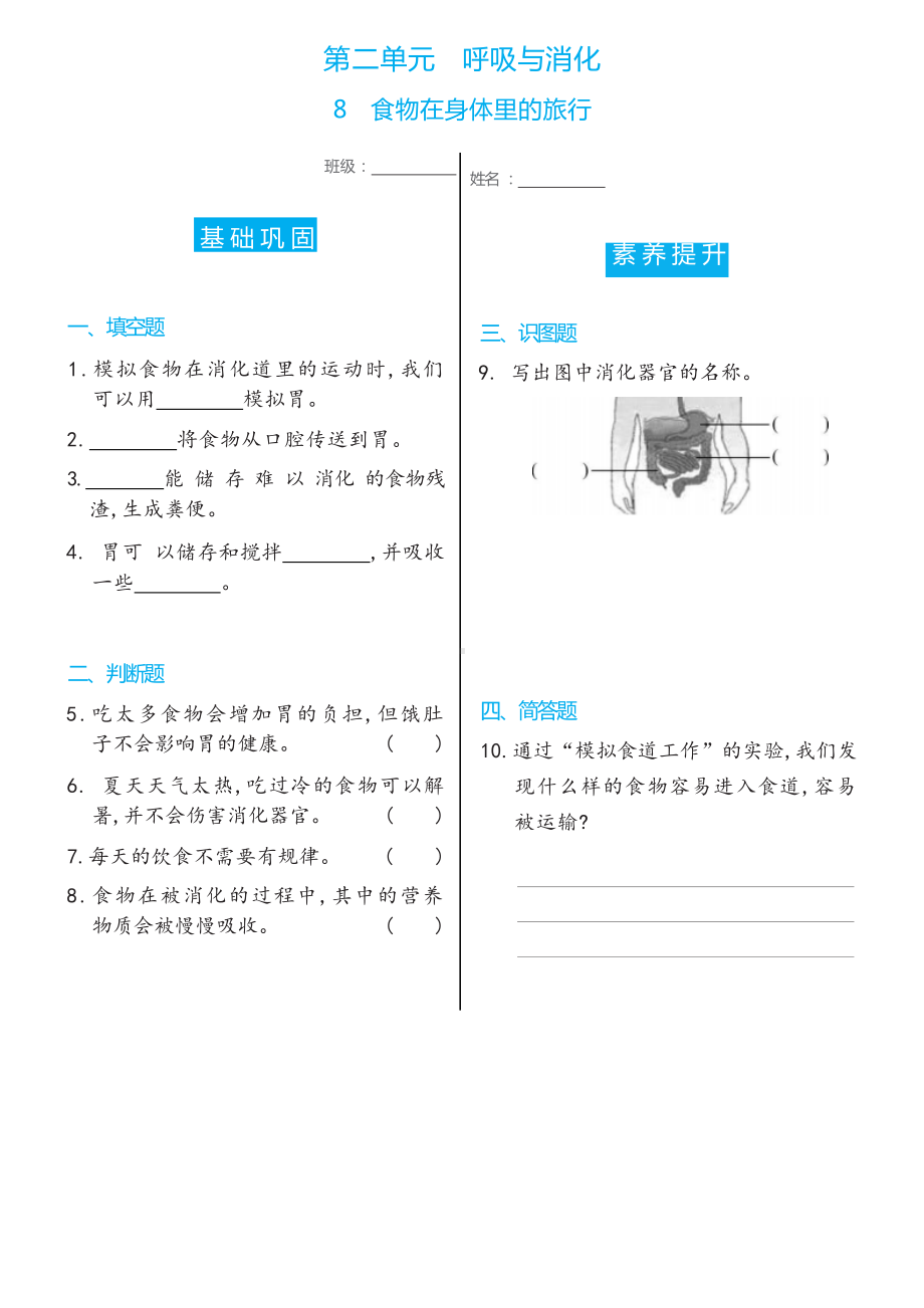 8 食物在身体里的旅行双减分层同步练习（含答案）-2022新教科版四年级上册《科学》.docx_第1页