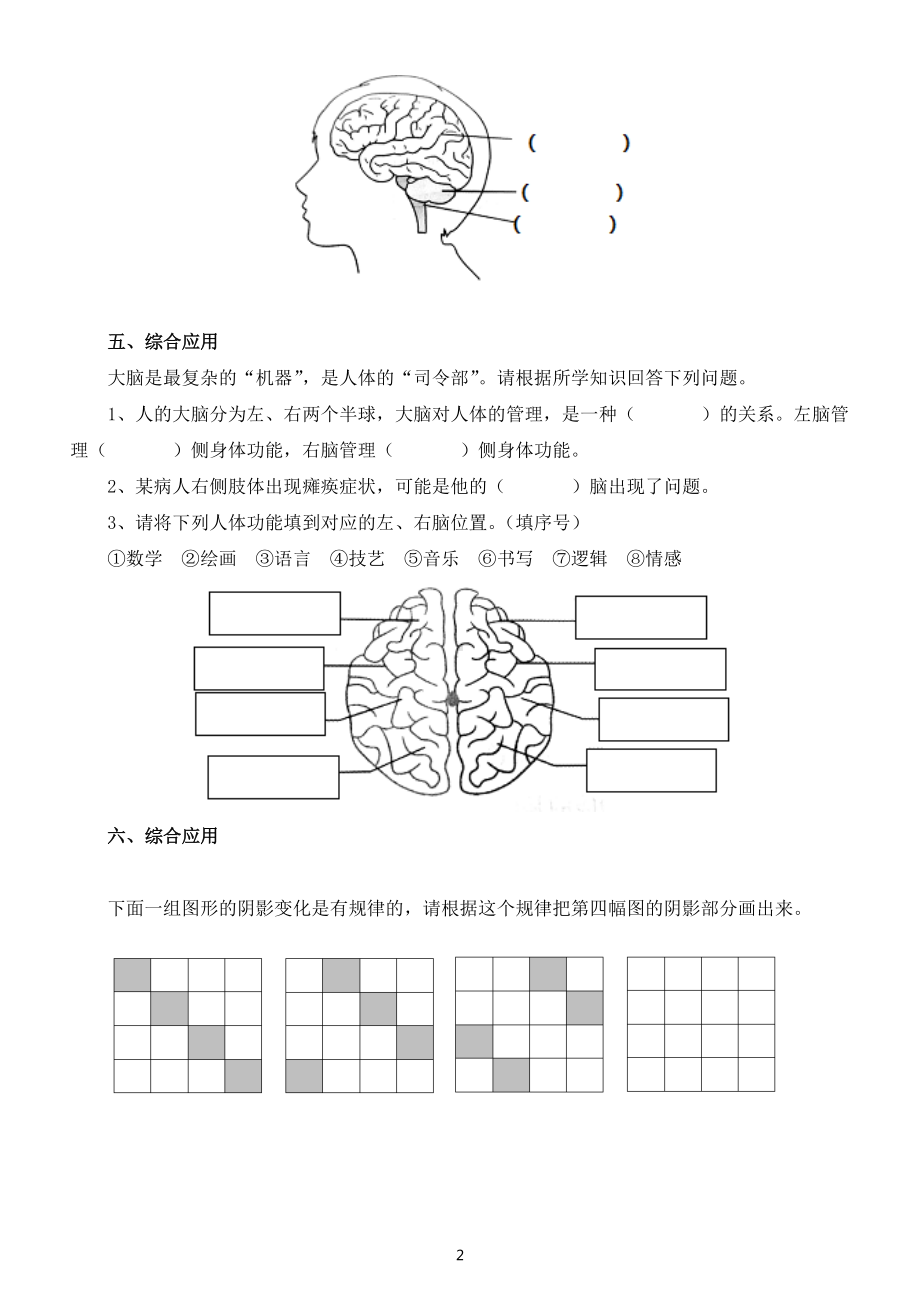 小学科学苏教版五年级上册第五单元第19课《我们的大脑》课堂练习题（2022新版）.docx_第2页