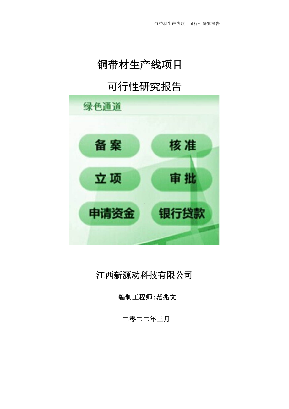 铜带材生产线项目可行性研究报告-申请建议书用可修改样本.doc_第1页