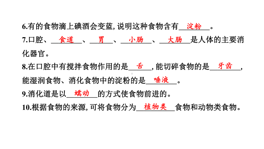 2022新教科版四年级上册《科学》第二单元 呼吸与消化 学习达标测试课件（16张PPT).pptx_第3页