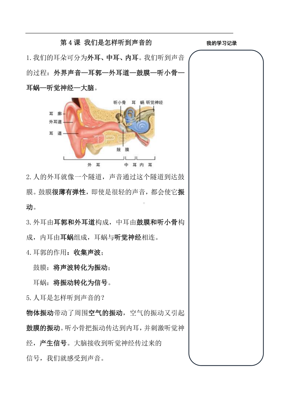 2022新教科版四年级上册《科学》第一单元 声音 知识点（PDF版）.pdf_第3页