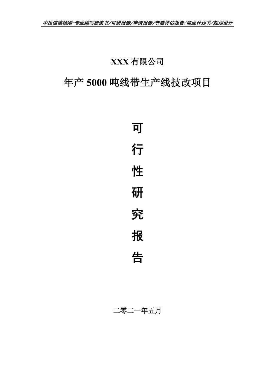 年产5000吨线带生产线技改项目可行性研究报告建议书.doc_第1页