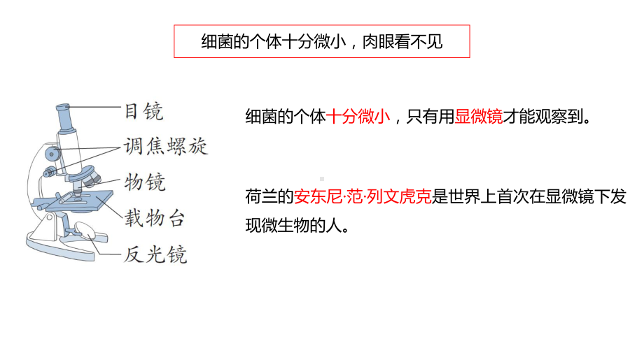 2.4.细菌和病毒（含练习）ppt课件 (共17张PPT)-2022新青岛版（六三制）六年级上册《科学》.pptx_第3页