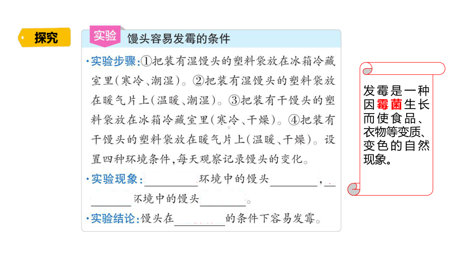 2.6.发霉与防霉（含练习）ppt课件 (共11张PPT)-2022新青岛版（六三制）六年级上册《科学》.pptx_第3页