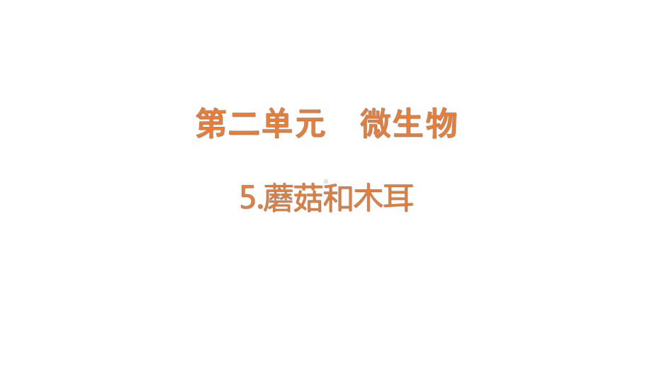 2.5.蘑菇和木耳（含练习）ppt课件 (共14张PPT)-2022新青岛版（六三制）六年级上册《科学》.pptx_第1页