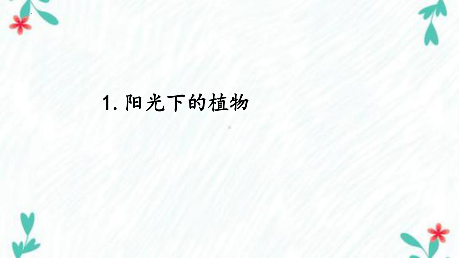 1.1 阳光下的植物（ppt课件) -2022新湘科版六年级上册《科学》.pptx_第1页