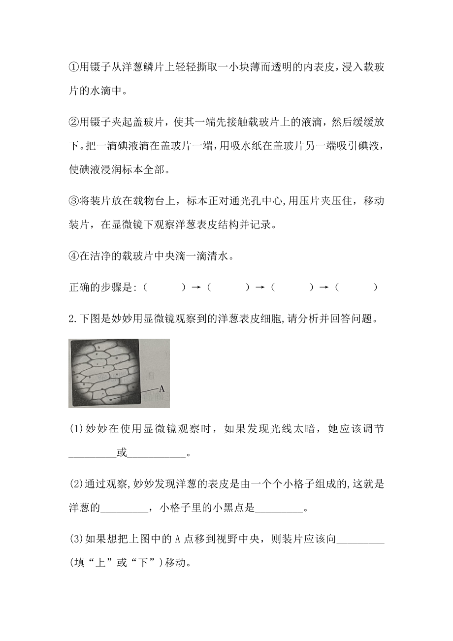 1.1《显微镜下的细胞》分层练习 （同步练习）-2022新大象版六年级上册《科学》.docx_第3页