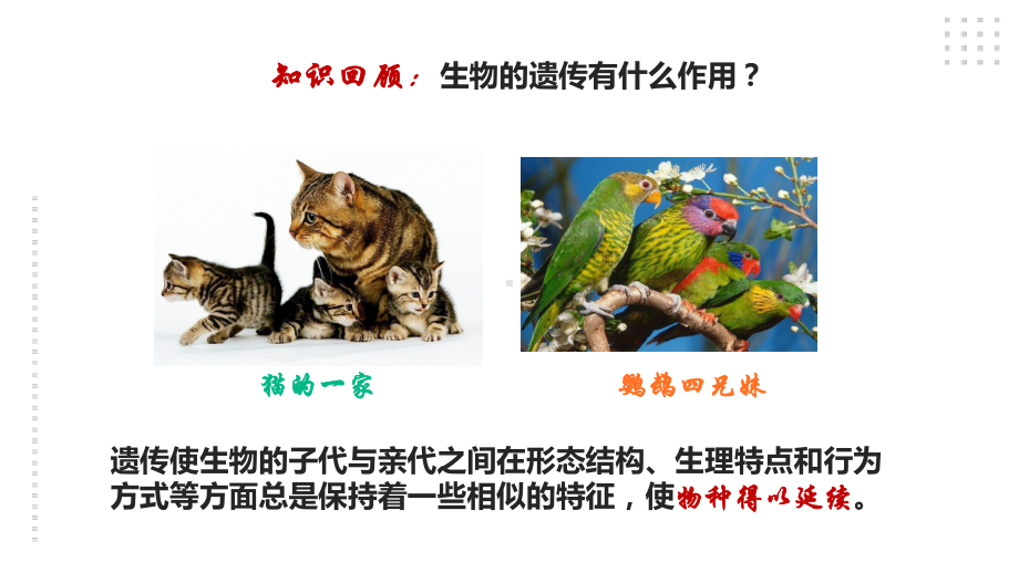 2.6《生物的变异》ppt课件-2022新苏教版六年级上册《科学》.ppt_第2页