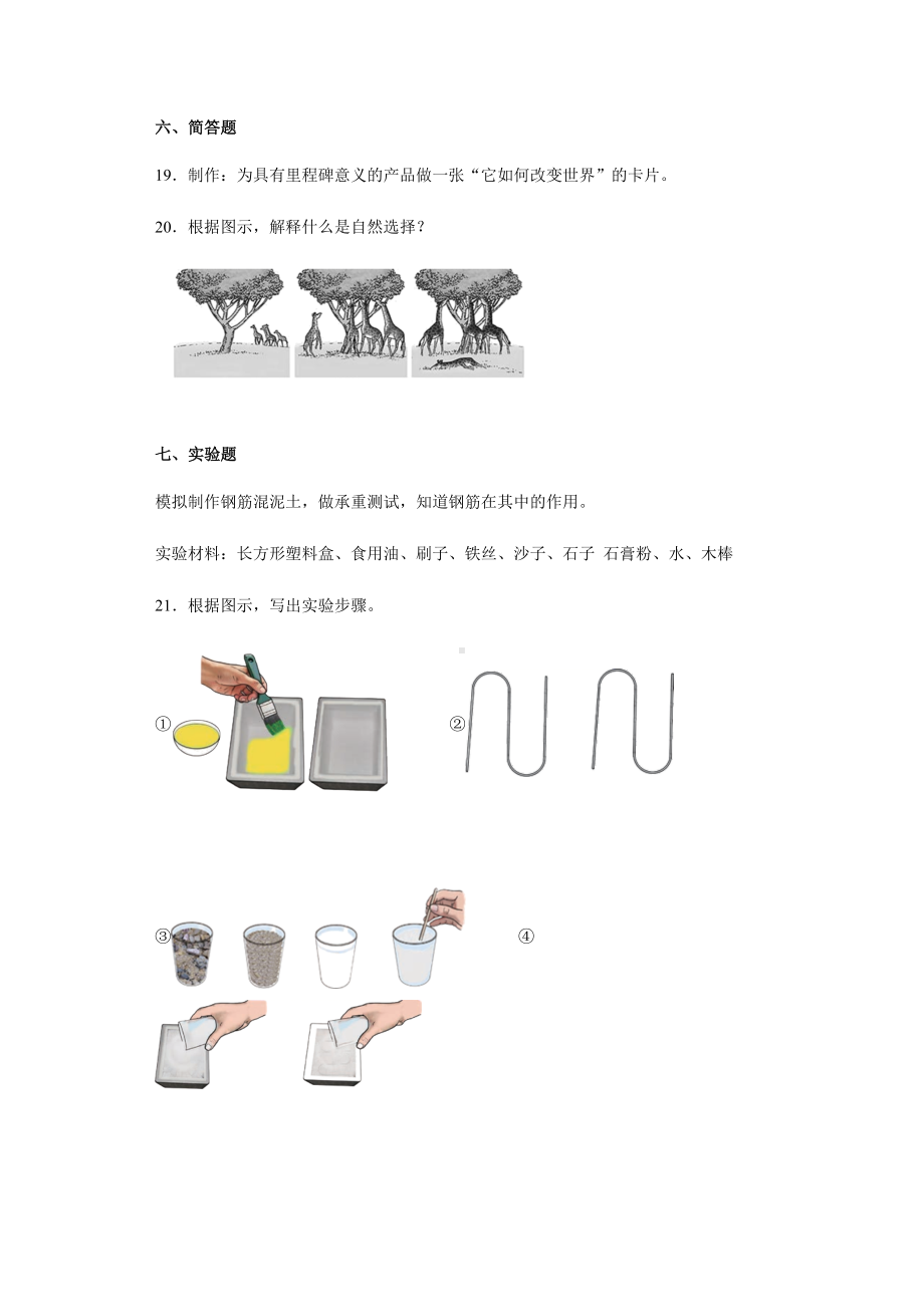 2022新苏教版六年级上册《科学》期末综合训练（试题）（含答案）.docx_第3页