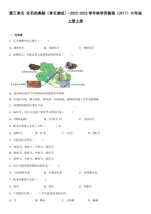 2022新苏教版六年级上册《科学》第三单元化石的奥秘（单元测试）(含答案).docx