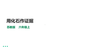 3.10《用化石作证据》ppt课件-2022新苏教版六年级上册《科学》.ppt