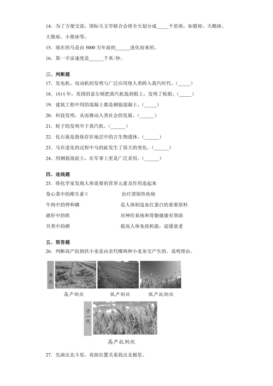 2022新苏教版六年级上册《科学》期末复习试卷（试题）(10)（含答案）.docx_第2页