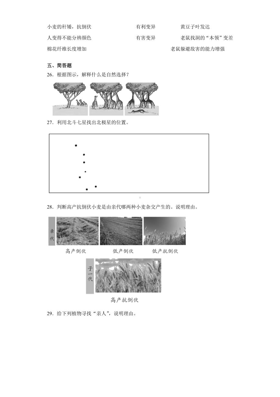 2022新苏教版六年级上册《科学》期末复习试卷（试题）(12)（含答案）.docx_第3页